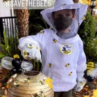 DIY Bee Keeper Costume